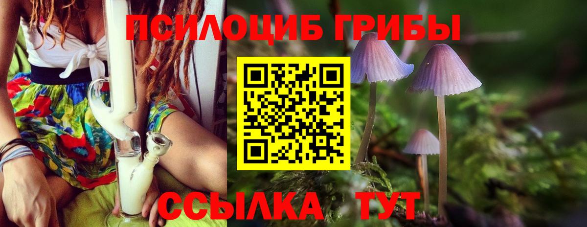 Тамбов  Псилоцибиновые грибы прущие грибы  Вход с VPN  Псилоцибиновые грибы мицелий 